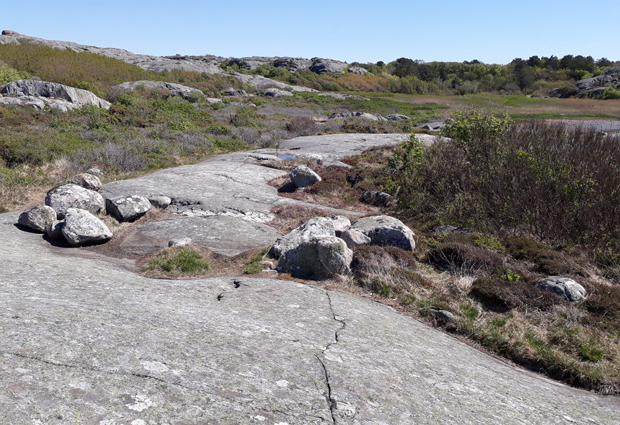 Stenar ligger i grupper på ömse sidor om stigen som går över klipporna.