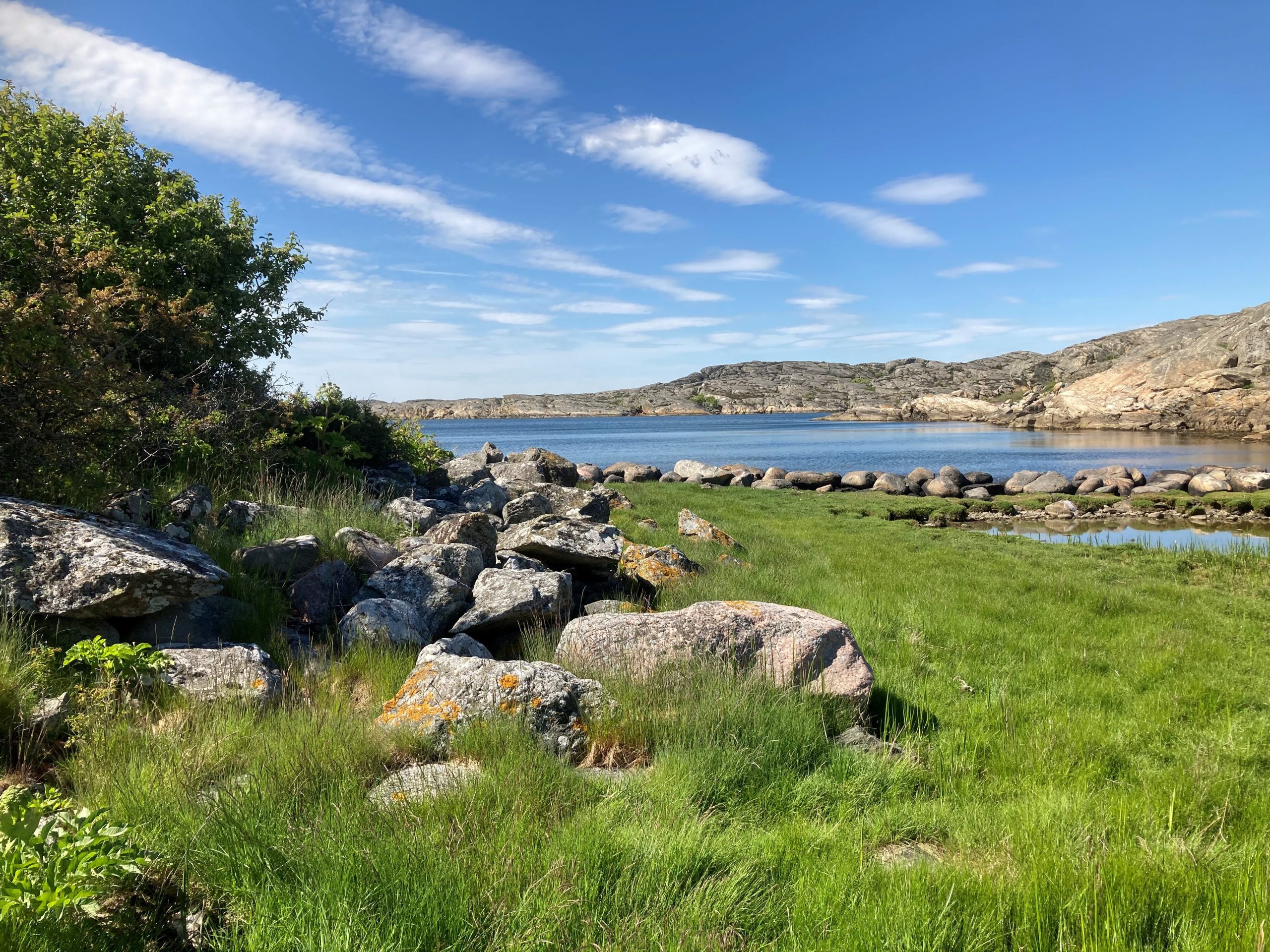 Färgfoto där en kraftig stenrad har anlagts tvärs över en havsvik. I förgrunden gräsbevuxen sankmark och en samling stora stenblock. 