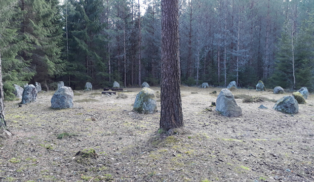  I en glänta i en barrskog står nitton stenar i en cirkelformation som är cirka 20 meter i diameter. 