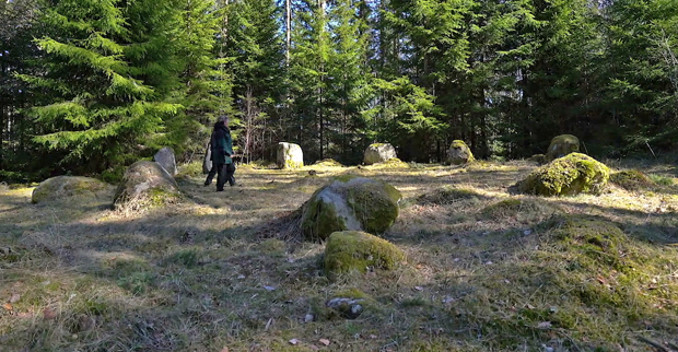 I en glänta i en barrskog formar nio stenar en cirkel. Stenarna är klumpformade, cirka en meter höga och delvis täckta av grön mossa. 